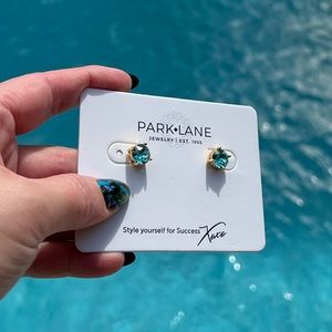 NEW Turquoise Park Lane Impression Earrings 1 (ONE) pair